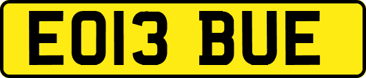 EO13BUE