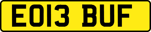 EO13BUF