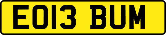 EO13BUM