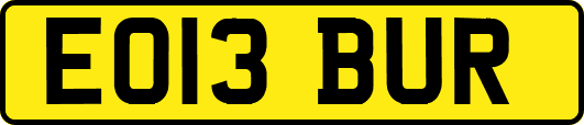 EO13BUR