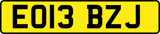 EO13BZJ