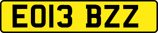 EO13BZZ