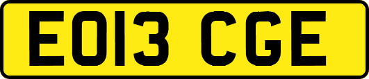 EO13CGE