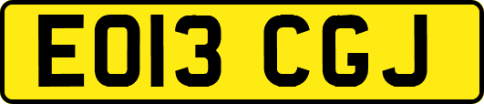 EO13CGJ