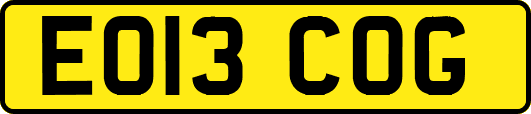 EO13COG