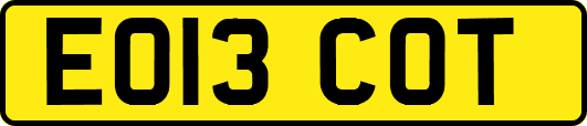 EO13COT