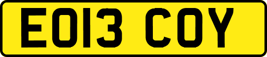 EO13COY