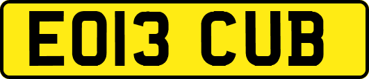 EO13CUB