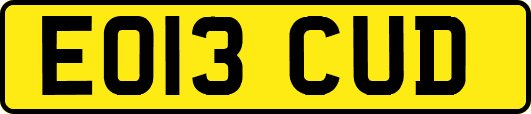EO13CUD