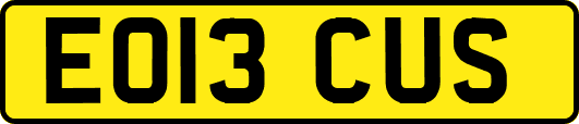 EO13CUS