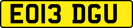 EO13DGU
