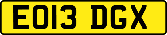 EO13DGX