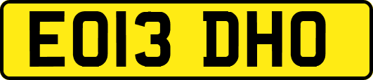 EO13DHO