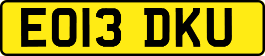 EO13DKU