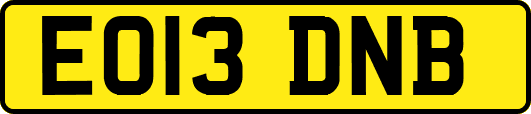 EO13DNB