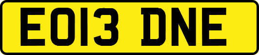EO13DNE