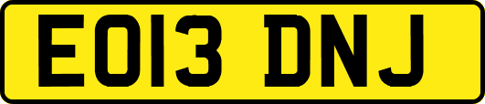 EO13DNJ