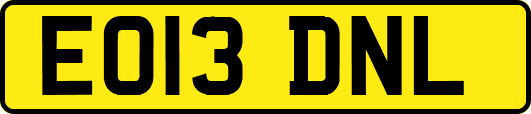 EO13DNL