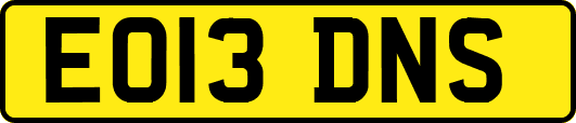 EO13DNS