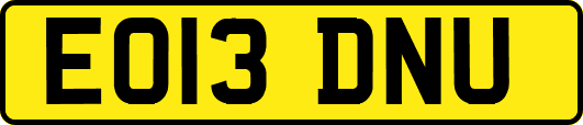 EO13DNU