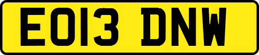 EO13DNW