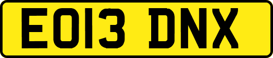 EO13DNX