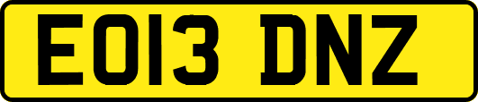 EO13DNZ
