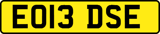 EO13DSE