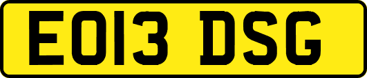 EO13DSG