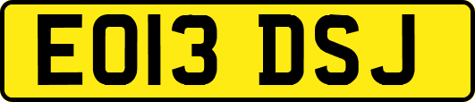 EO13DSJ