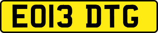 EO13DTG