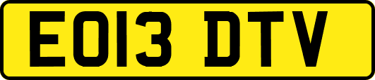 EO13DTV