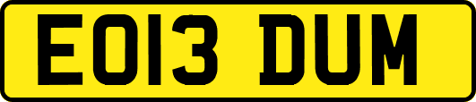 EO13DUM