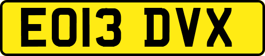 EO13DVX