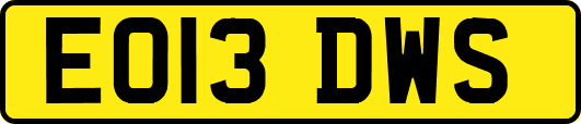EO13DWS