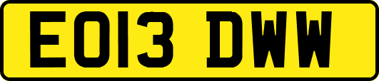 EO13DWW
