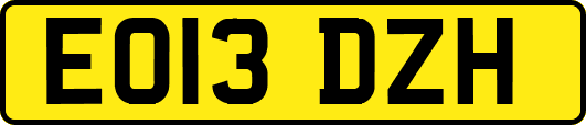 EO13DZH