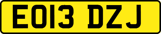 EO13DZJ