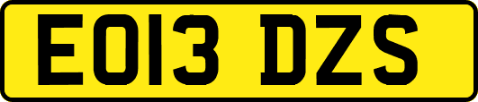 EO13DZS