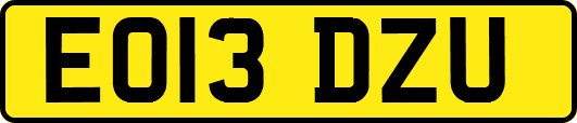 EO13DZU