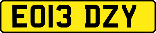 EO13DZY