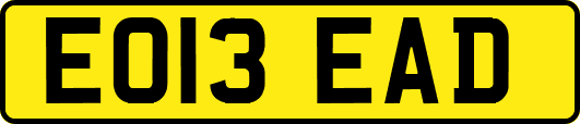 EO13EAD