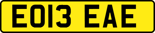 EO13EAE