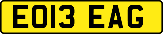 EO13EAG