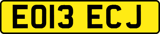 EO13ECJ