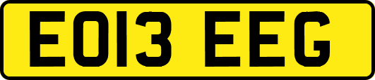 EO13EEG