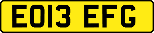 EO13EFG