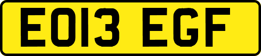 EO13EGF