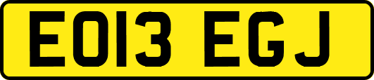 EO13EGJ