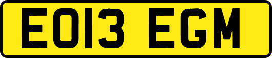 EO13EGM
